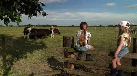 A farm scene looking across green fields. Two young girls wearing T-shirts and denim shorts sit on a wooden fence with their backs to the camera as a woman wearing a red gillet and blue jeans feeds a group of four brown and white cows. The sky is blue and cloudy.
