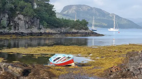 Mangela Coia A little red and blue rowing boat sits by the edge of a quiet bay with still water. Large quantities of a yellow plant sit on the surface of the water by the viewer. Three yachts can be seen in the distance as well as a hill.