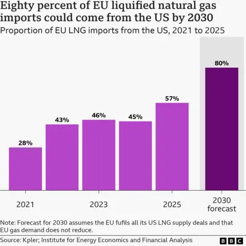 A bar chart showing the European Union's liquefied natural gas imports from 2021 to 2025, with a forecast for 2030 which assumes that the EU fulfils all of its US LNG supply deals, and that the EU's gas demand reduction demand falters. The first bar for 2021 represents about 21 billion cubic metres, which accounted for 28% of the EU's imports. The amount rose up to 43% (54 billion cubic metres) in 2022, 46% (61 billion cubic metres) in 2023, dropped to 45% (50 billion cubic metres) in 2024, and rose again to 57% (81 billion cubic metres) in 2025. It is forecast to potentially hit 80%, representing 115 billion cubic metres, by 2030. The source is Kpler, and the Institute for Energy Economics and Financial Analysis.