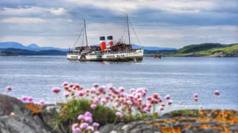 Aileen Gillies The Waverley boat sails through water in the distance, while flowers are at the forefront of the land pictured