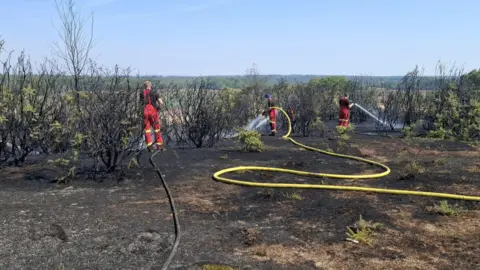 Three firefighters spraying water on a burnt heathland.
