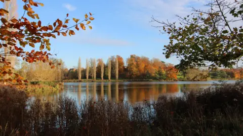 A row of trees with brown leaves can be seen in the distance with a body of water - possibly a lake - in front. It is a lovely sunny day with more trees and hedges around the water.