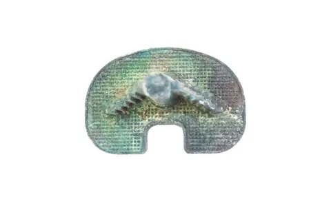 Harry Lloyd-Evans Tibial knee replacement