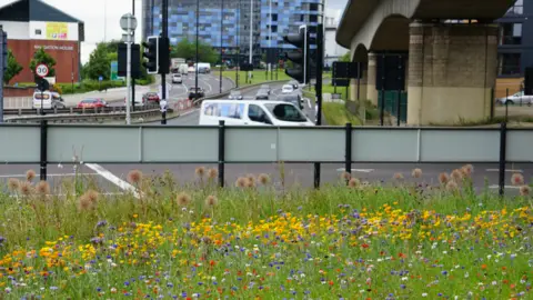 Pictorial Meadows Roadside meadow in Sheffield