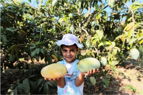 Getty Images Child holding two mangos in their hands. There are plants behind them.