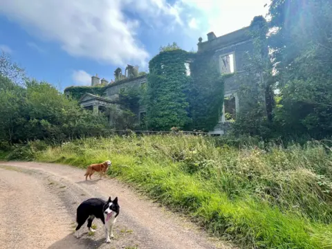 A ruined country house. Two dogs can be seen on a track running in front of it