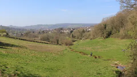 Susan Fenton Image shows sloping valley at the Heavens, on a sunny day, with trees at the sides with no leaves.