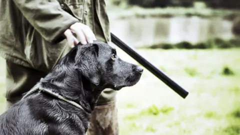 Getty Images Gamekeeper with Gundog - stock picture