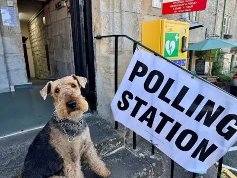 Niall Cook via PA Media Handout photo issued by Niall Cook of Margo the Airedale Terrier, outside a polling station in Gloucestershire