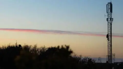 A telecoms mast with a person halfway up it in the dusk or early morning and bushes on the left.