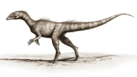 B.NICHOLLS Reconstruction of dinosaur