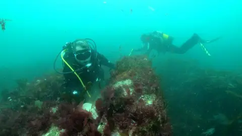 Wessex Archaeology Two divers surveying HMS Montagu