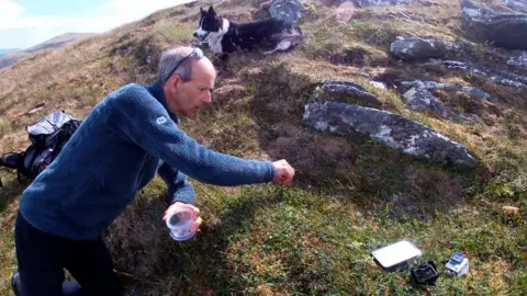 Jahama Highland Estates Gathering seeds