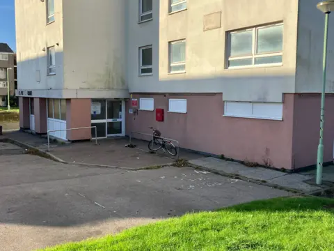 GUY CAMPBELL/BBC Entrance to tower block with white doors and pink facade beneath white facade of main high-rise building  