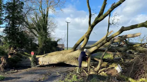 A large fallen tree in Dromore, Co Down. It lies across the whoel road and a man is visible sawing it. Picture date: Friday January 24, 2025.
