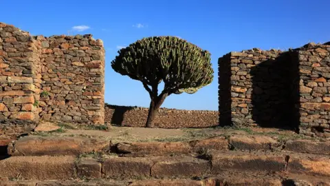 Getty Images Ruins of the palace of the Queen of Sheba near Axum, Aksum, Dongur Palace