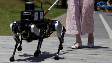 A visually impaired person walks with a six-legged robot "guide dog" during a demonstration of a field test.