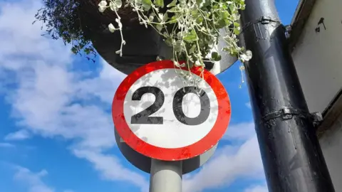 A 20mph speed sign, with black 20 and red circle, on a post, with green foliage above