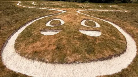 National Trust Close up of head section of Cerne Abbas Giant - a hill figure with a white chalk outline.