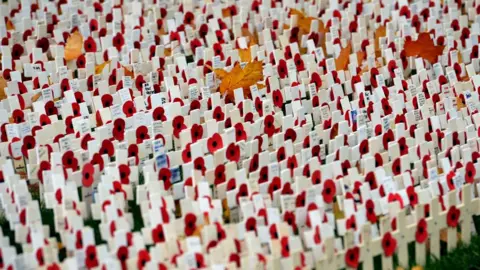 Getty Images Lots of poppies on crosses