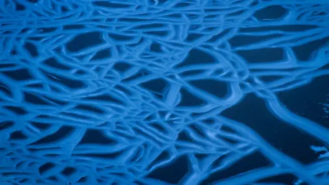 SAIS Southern Cairngorms Frozen loch