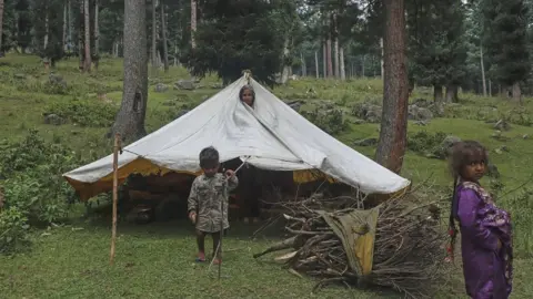 ABID BHAT Nazira, a nomad woman peeks out from her tent as her children stand outside