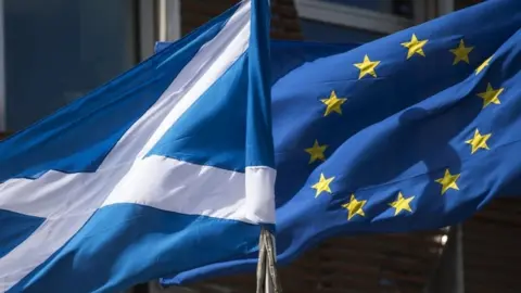 Scottish and EU flags