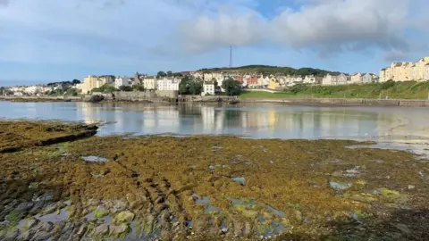 IOM Government Port St Mary Beach