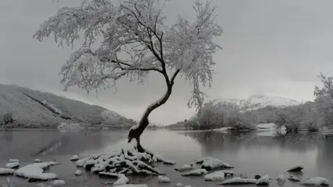 Hazeelin Hassan Llanberis