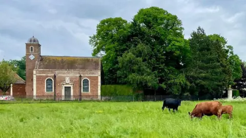 Rory Waterman A small church with two windows, a door and a taller part on the left looks out on an overgrown but vibrantly green field with a black cow and two brown cows grazing.