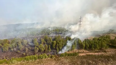 Aerial view of last year's wildfire