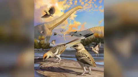 Júlia D’Oliveira An artist’s impression of the Navaornis, a small bird with beige and dark coloured feathers. The impression shows the bird in front of some large dinosaurs with long necks . 