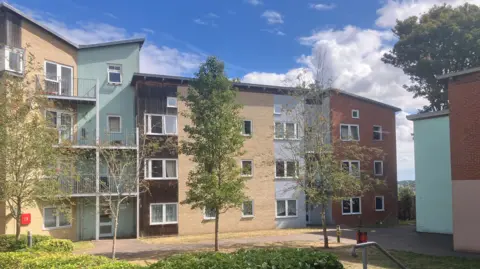 Owen Sennitt/BBC A block of flats with colourful exterior, including pastel blue, yellow and brown cladding, can be seen, with trees in the foreground
