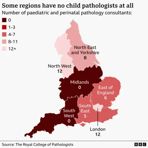 A colour‑coded map of England showing the number of paediatric and perinatal pathology consultants in each region. London and the North West each have 12 consultants. The North East and Yorkshire has 8. The East of England has 6. The South East has 5. Two regions, the Midlands and the South West, have zero consultants, and these areas are highlighted in red to show a shortage. All other regions are shown in shades of purple. The map shows the uneven distribution of specialist pathologists across the country.