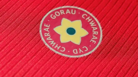 The Gorau Chwarae Cyd Chwarae motto 