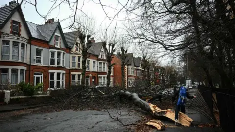 A tree is blown down in Liverpool during Storm Darla