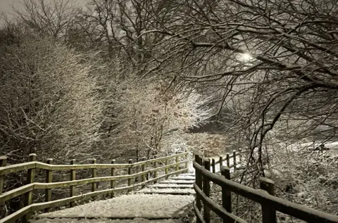 Snow covered trees line a snow covered path