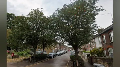 Edward Street seen from one end with the rowan trees in leaf, with red berries. It is a terraced street with tiny front gardens and cars parked along both sides.