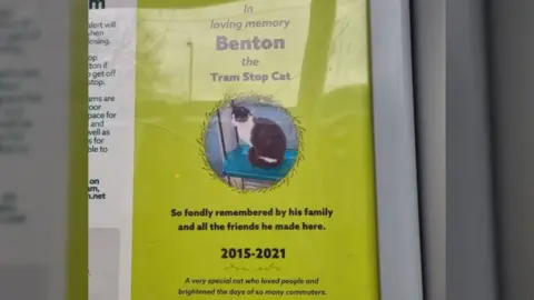 Ginny Hicks A picture of the memorial for Benton the cat.