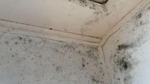 Laura-May The corner where two walls and the ceiling meet. All is painted white, but there are large and small spores of black mould all round the corner.