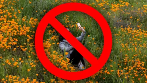 a woman sitting in a poppy field, with a large cross over her