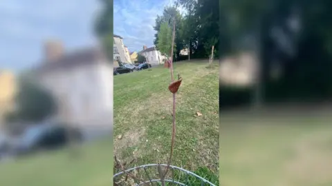 LDRS One of the dead trees