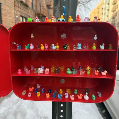 JJ Cerillo Lots of tiny plastic ducks inside the Duck Library