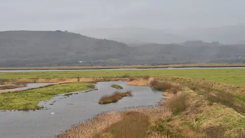 Nigel Brown/Geograph RSPB Ynyshir. A lone swan patrols its territory and in the distance, the Tarrenau range is blanketed in rain.