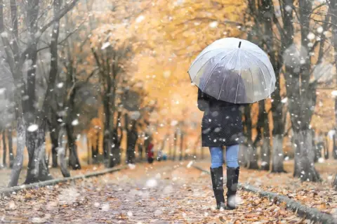 Getty Images A woman walking through a park with an umbrella