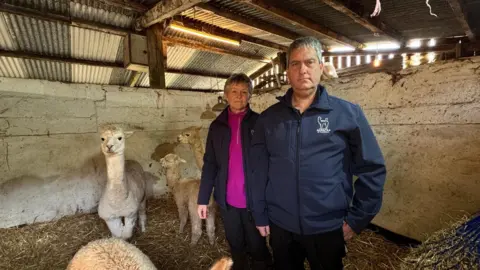 Sam and Mark Norman stood wearing blue coats in a walled pen together with a group of four alpacas and a bail of hay