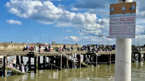 East Riding of Yorkshire Council A busy seaside pier with people walking and sitting along wooden walkways over murky water. A sign in the foreground reads: “Please do not feed the seagulls”. The sky is bright with large clouds.