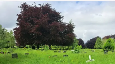 LDRS An overgrown cemetery with a big red tree to the left-hand side of the image. The grass has grown up to the top of the headstones. The sky is cloudy in the background. 