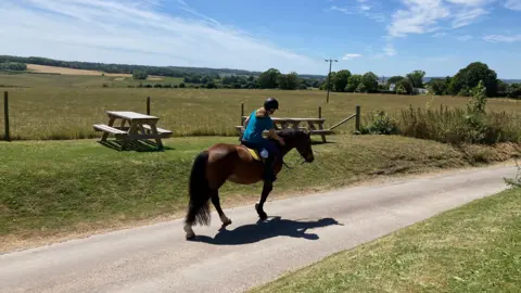 Mr T THURSDAY - A woman riding a brown horse on a country lane. The horse is brown and the woan, wearing a blue tshirt and a helmet is stroking its neck. The road is single-track and has grass banks on each side. There are two picnic benches on the bank to the left of the road. Behind there is a field of grass and rolling countryside under a blue sky.