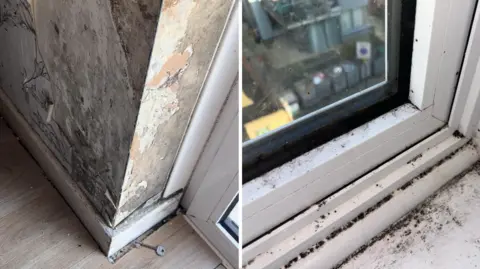 R. James Hutcheon Solicitors A composite image of mould within the family's home. On the right, close up photo of black mould around a windowsill and on the window and on the left, a photo of a cracked and damp, exposed wall where wallpaper has peeled off.